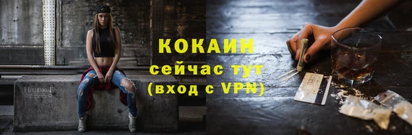 спиды Богородицк
