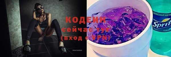 спиды Богородицк