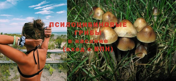 скорость Богданович