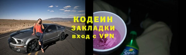 спиды Богородицк