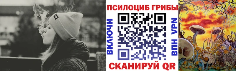 наркошоп  Бородино  Галлюциногенные грибы мухоморы 
